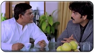 Tanikella Giving Warning To Nagarjuna Comedy Scene || Manmadhudu Movie