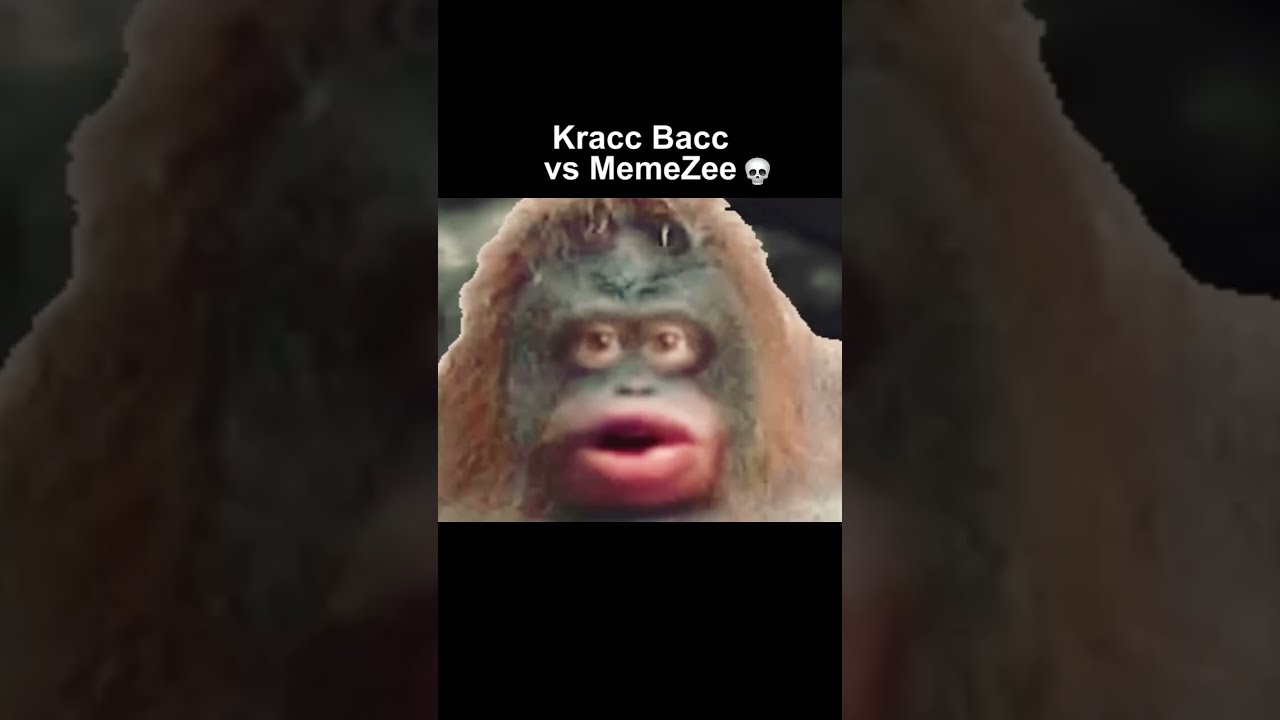 Kracc Bacc Vs Meme Zee YouTube Kracc Bacc Vs Meme Zee YouTube