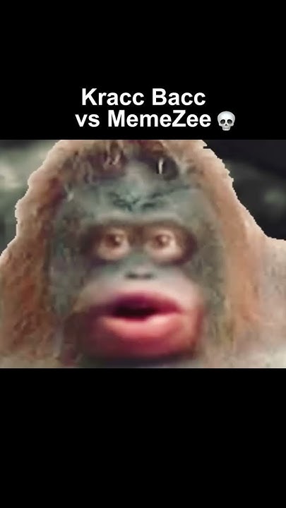 Kracc Bacc Vs Meme Zee YouTube kracc-bacc-vs-meme-zee-youtube