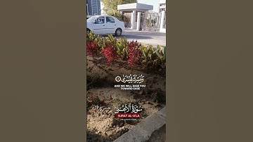 #القرآن الكريم#اكسبلور#تصويري #الجزائرالعظمى#غزة#فلسطين #humor #hijab #hindi