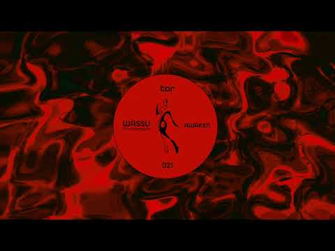 Lumynesynth, Wassu - Awaken - Dub Mix
