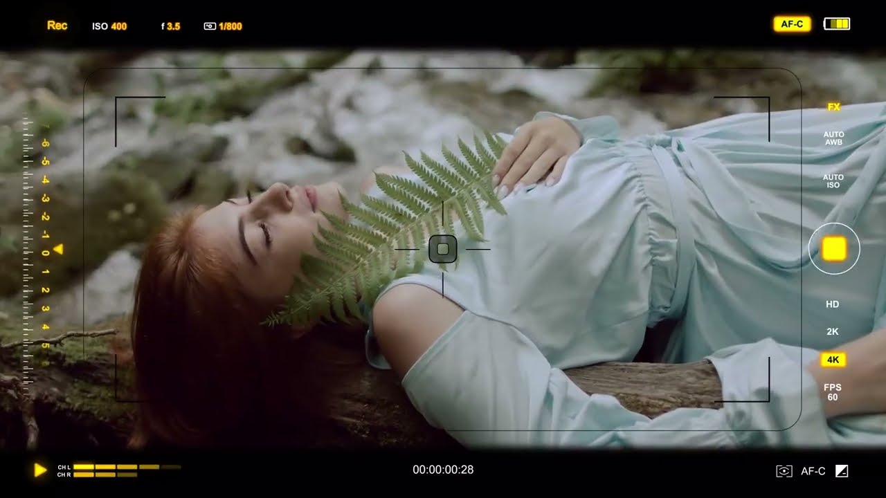 Camera Viewfinder HUD: After Effects template