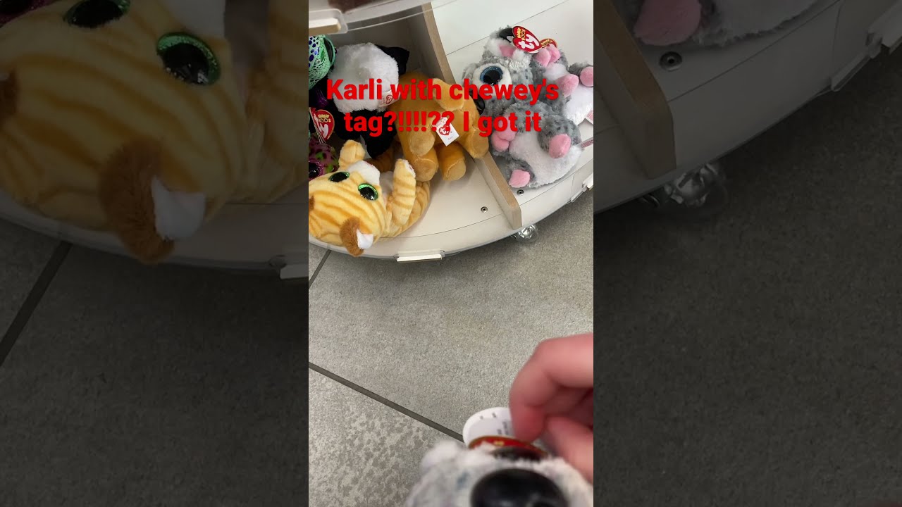  Mboos Is This A Fake Beanie Boo Or Just An Error