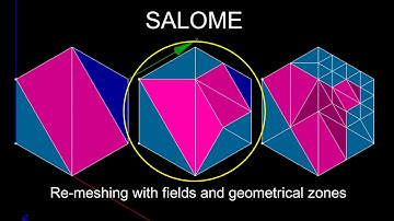 SALOME HOMARD Module: re-meshing by fields