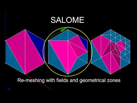 SALOME HOMARD Module: re-meshing by fields