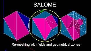 Famous SALOME HOMARD Module: re-meshing by fields Net Worth