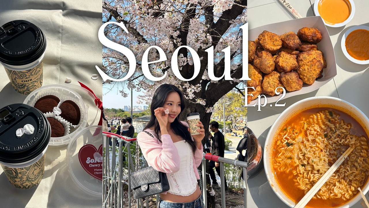 多分世界で1番韓国春旅行を楽しんで来ました🇰🇷🌸