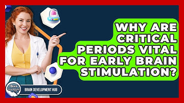 Why Are Critical Periods Vital For Early Brain Stimulation? - Brain Development Hub