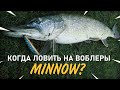 Когда лучше ловить на воблеры минноу?