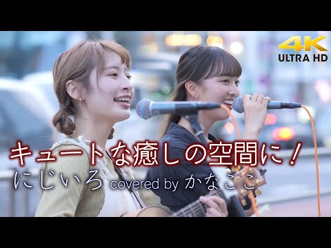 【 キュートな癒し 】二人の歌声で最高の癒しの空間に！　にじいろ / 絢香【（cover）" かなここ " 新宿路上ライブ 4K映像