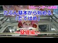 【クレーンゲーム詳解】たぶん基本から始める「たてはめ」～基礎編～