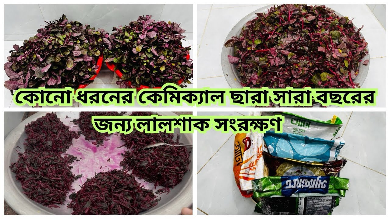 সারাবছরের জন্য লালশাক সংরক্ষণ করলাম।