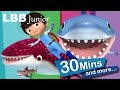Shark Song | And Lots More Original Songs | From LBB Junior!
