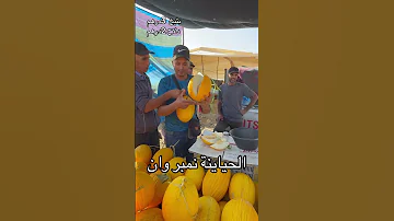 بتيخ ودلاح ماشالله خيرات بلادنا 