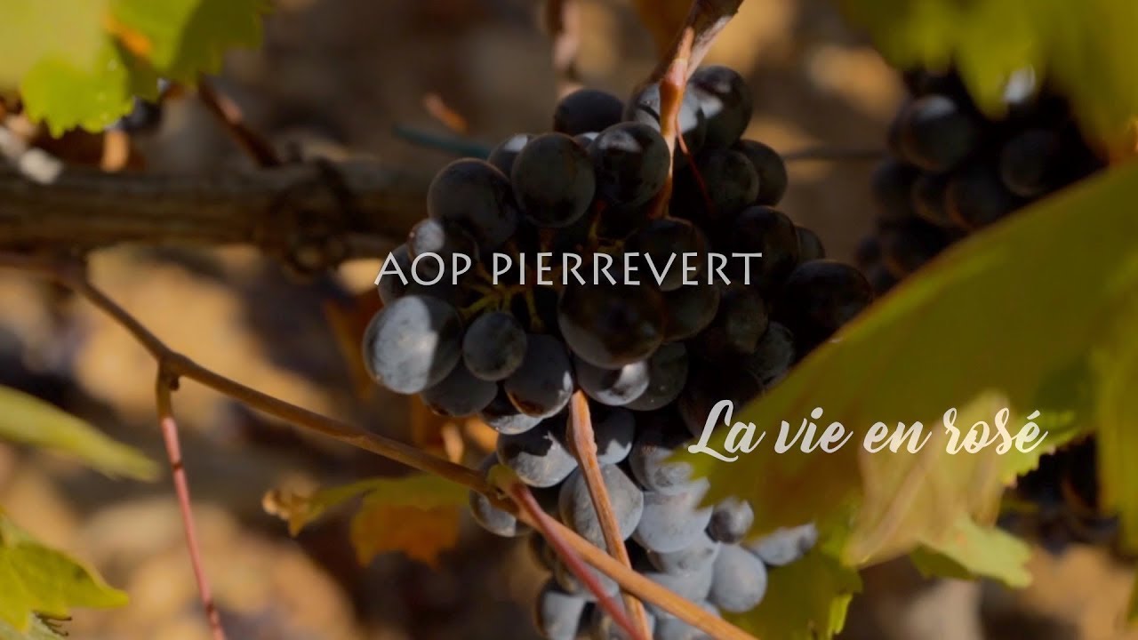 AOP Pierrevert, La vie en rosé - YouTube
