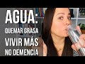 En VIVO: Obesidad, Artritis, Infartos, Demencia, abdomen abultado, ¿Qué tienen en común?