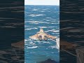 SU-57 FELON JUNGLE Takeoff Was Absolutely Insane #automobile #usmilitarycombat #aviation