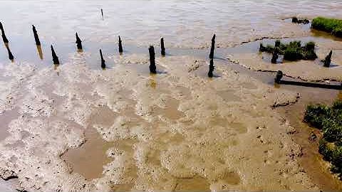 The Humber Estuary and Paull