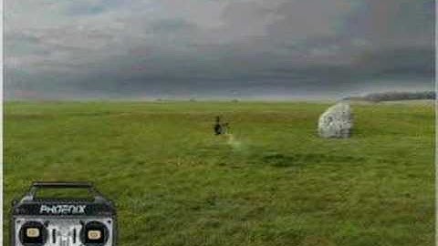 trex 600N second video stable on phoenix