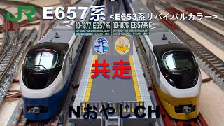 共走 JR東日本 E657系(E653系リバイバルカラー) 青 & 黄 JR EAST E657 “E653 Revival Color” Blue & Yellow ＃train