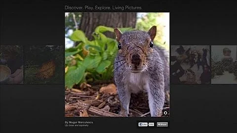 A Camera That Focuses After the Shot