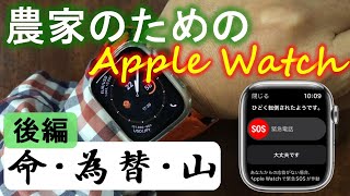 Apple - SUMOさん専用 ザナックス オーダーグラブ ソフトボール用 ザナパワー オーダー