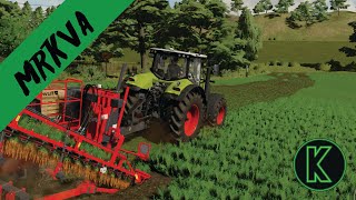 FS22 Mrkva Pastinak Červená repa