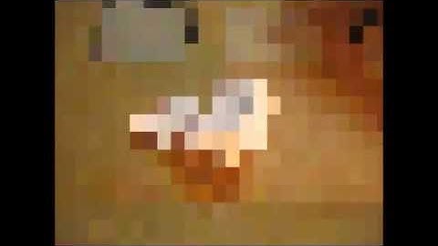 PLAN DE ACCIÓN TUTORIAL (PAT)