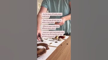 A spore print is the powdery pattern left behind when mushroom spores fall onto paper.