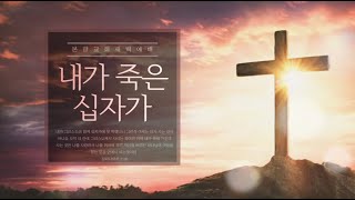 &quot;탈무드 잠언 (3) - 생명나무의 지혜&quot; (잠언 3장 18절)의 말씀 기도
