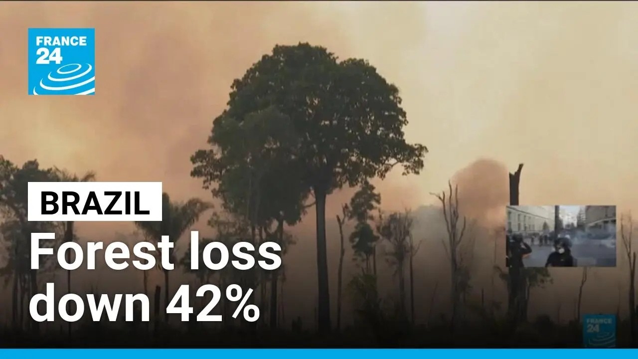 Brazil: Amazon deforestation at 40-year low • FRANCE 24 English