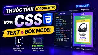 Thuộc Tính (Property) trong CSS | Text & Box Model