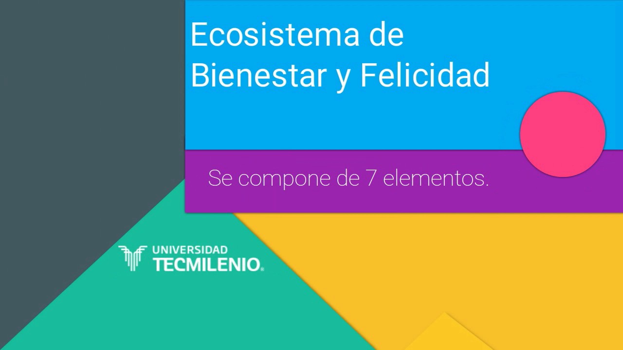 Elementos Del Ecosistema De Bienestar Y Felicidad www.youtube.com