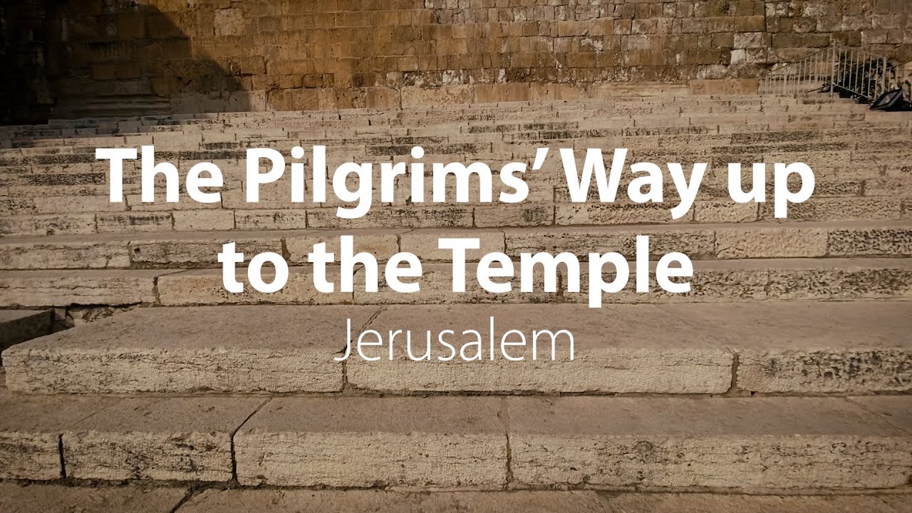 The Pilgrims' Way up to the Temple | Bible Trek – Jerusalem in the New Testament Series – 02