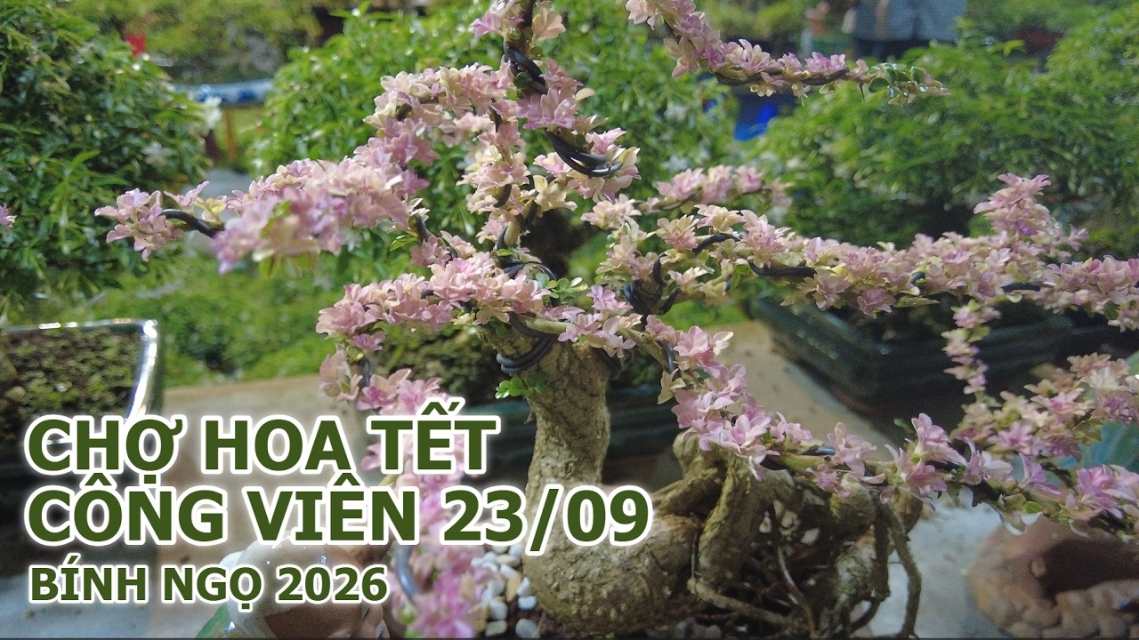 Chợ hoa tết Bính Ngọ - Công viên 23/09