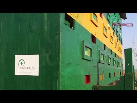  Méhészet, Bácsfeketehegy (videó)