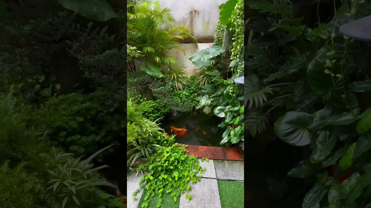 Tropical garden in my House