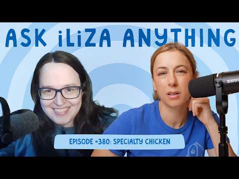 Specialty Chicken - Ask Iliza Anything