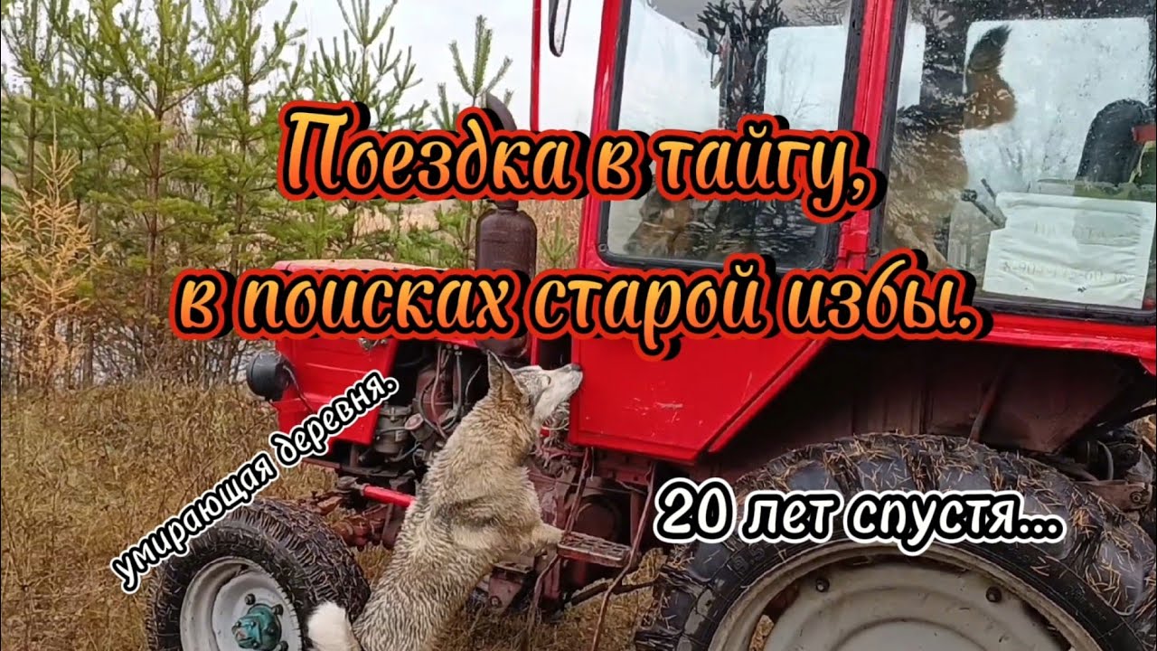 Поездка в тайгу. В поисках старой избы.