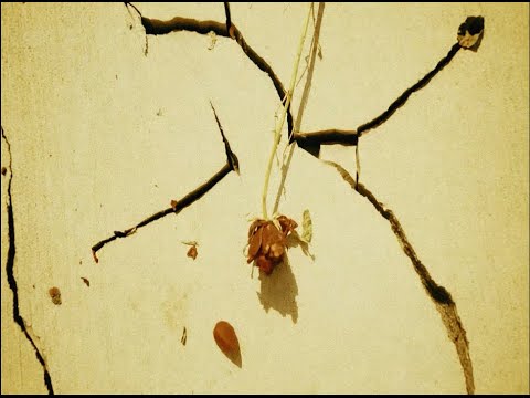 Yksteexy - mind ovr matter (Official Music Video)