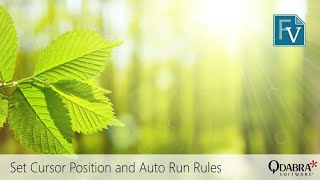 Set Cursor Position and Auto Run Rules: Qdabra Webinar 2020-07-16