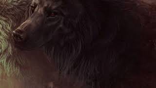 YouTube video xt4_OL94K1Y