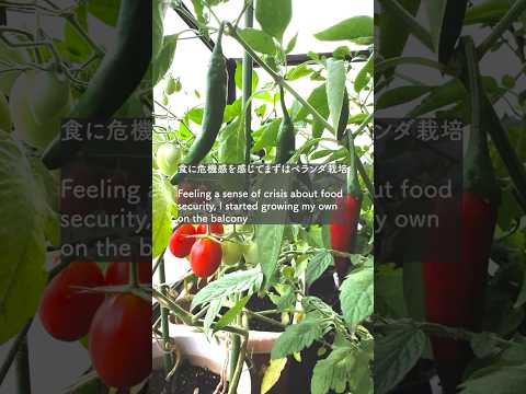 Healiing cuisine Mini Farm