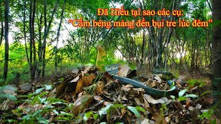 Lời Răn Các Cụ Đêm Xuống, Đừng Bao Giờ Lại Gần Bụi Tre