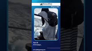 Orang yang ingin bunuh diri lompat ke laut