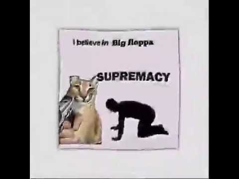 Conheça Big Floppa, o gato que virou a grande estrela dos memes na internet  Big Floppa