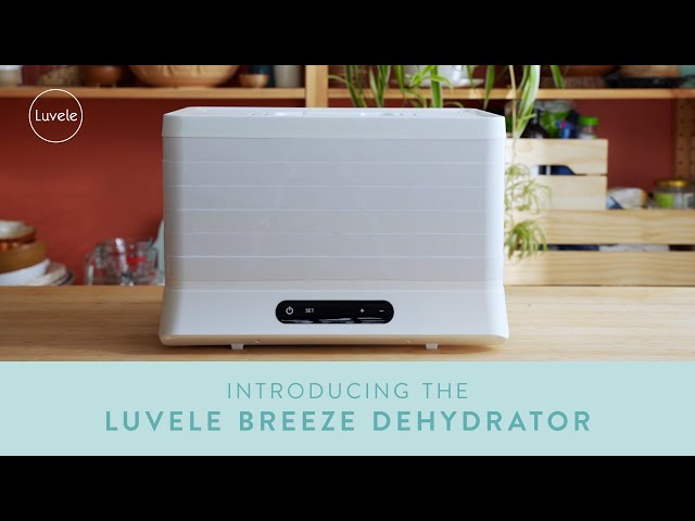 How to activate nuts in a dehydrator - Luvele US