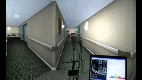 Walking Through the Virtual Reality Cave With the Jaz Spectrometer