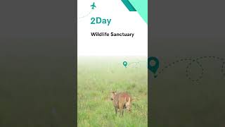 Download Lagu The Perfect 4 Days in Binsar Itinerary (2023 Guide) #binsarItinerary MP3