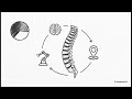 Medtronic Q3 2026 Earnings